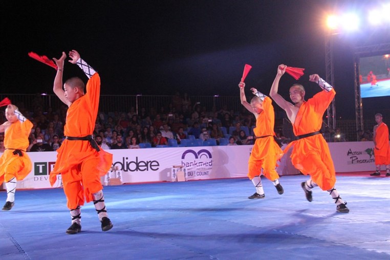 Martial Arts Festival